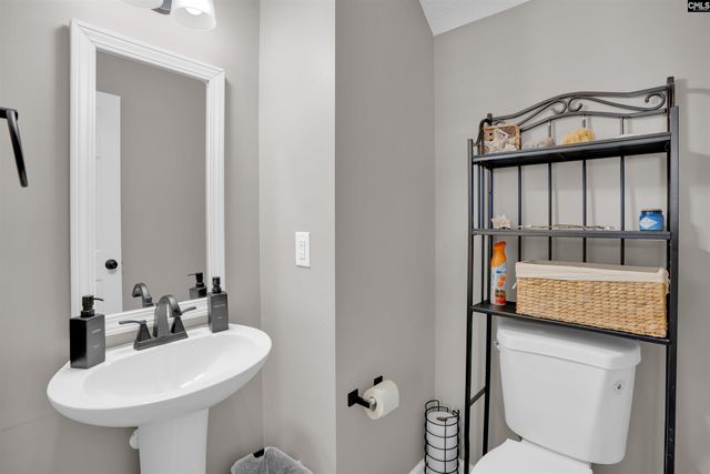 413 Cape Jasmine Way, Lexington, SC 29073