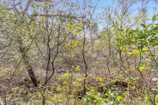 10121 Valley Dr, Rough And Ready, CA 95975