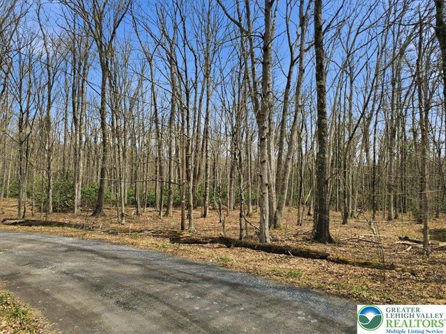 186 Timberlane Drive, Kidder Twp, PA 18210