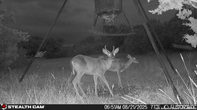 14832 Texas Highway 41, Rocksprings, TX 78880