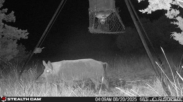 14832 Texas Highway 41, Rocksprings, TX 78880