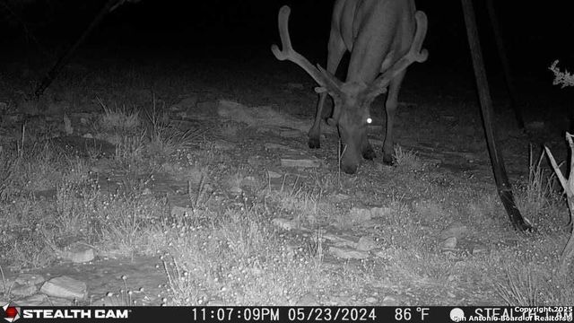 14832 Texas Highway 41, Rocksprings, TX 78880