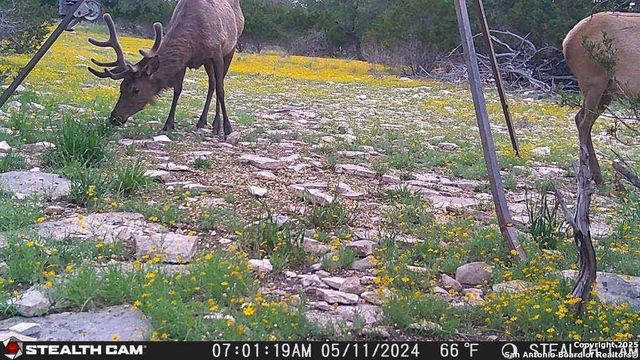 14832 Texas Highway 41, Rocksprings, TX 78880