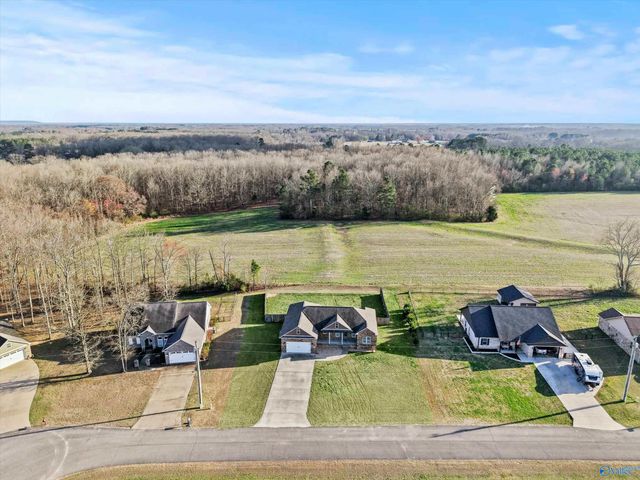 29766 Walker Drive, Ardmore, AL 35738