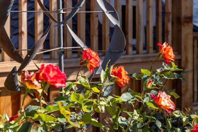 2350 Paradise Dr, Tiburon, CA 94920