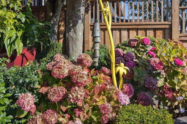 2350 Paradise Dr, Tiburon, CA 94920