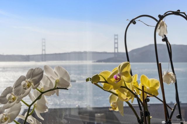 2350 Paradise Dr, Tiburon, CA 94920