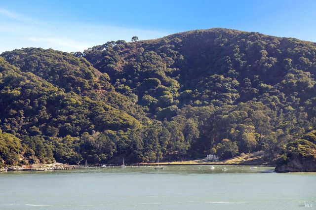 2350 Paradise Dr, Tiburon, CA 94920