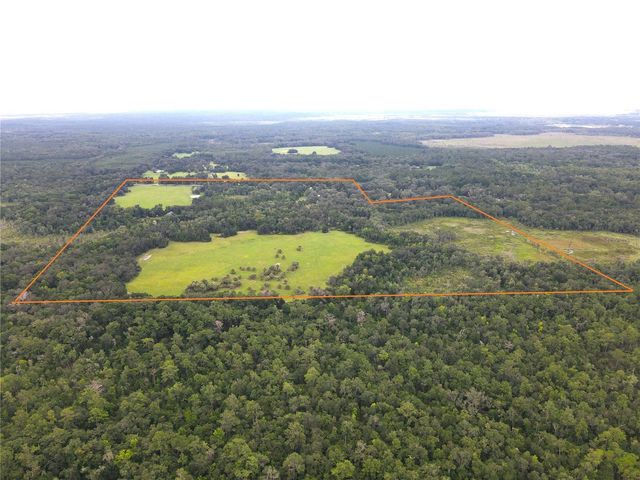 11816 SE COUNTY ROAD 234, Micanopy, FL 32667