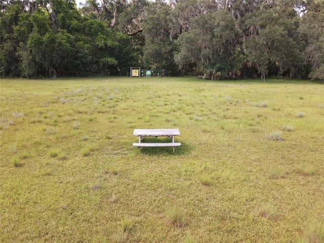 11816 SE COUNTY ROAD 234, Micanopy, FL 32667