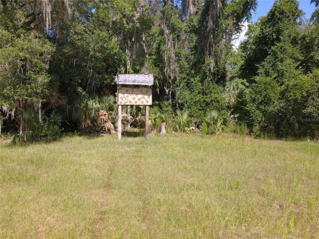 11816 SE COUNTY ROAD 234, Micanopy, FL 32667