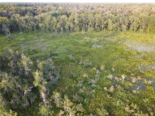 11816 SE COUNTY ROAD 234, Micanopy, FL 32667