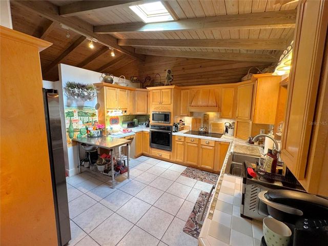 11816 SE COUNTY ROAD 234, Micanopy, FL 32667