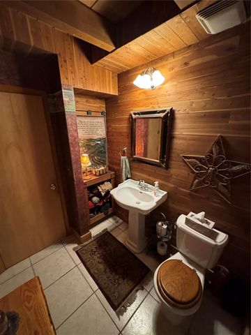 11816 SE COUNTY ROAD 234, Micanopy, FL 32667