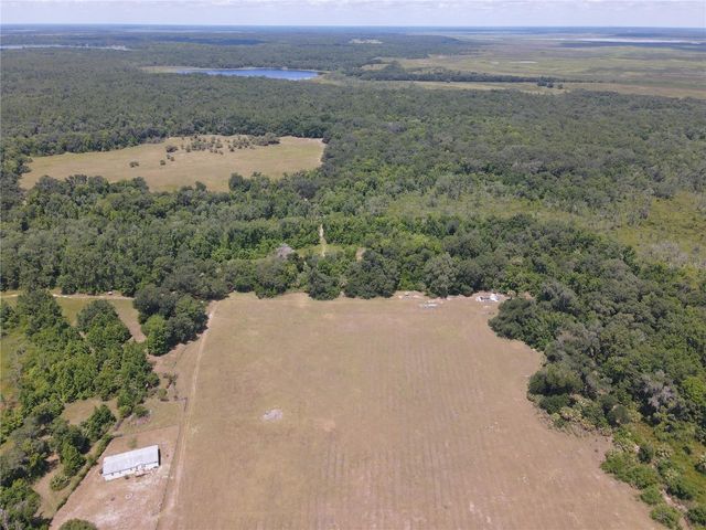 11816 SE COUNTY ROAD 234, Micanopy, FL 32667