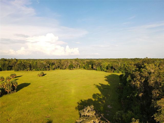 11816 SE COUNTY ROAD 234, Micanopy, FL 32667