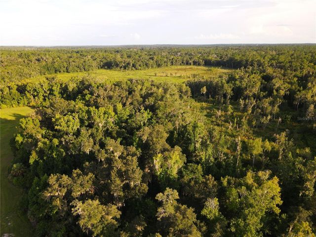 11816 SE COUNTY ROAD 234, Micanopy, FL 32667