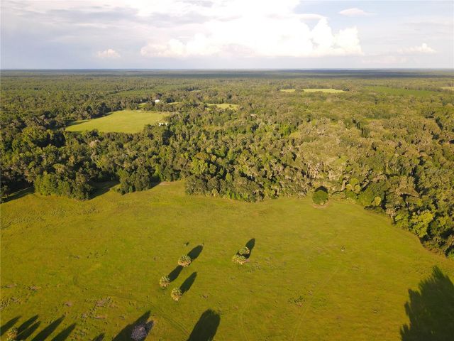 11816 SE COUNTY ROAD 234, Micanopy, FL 32667