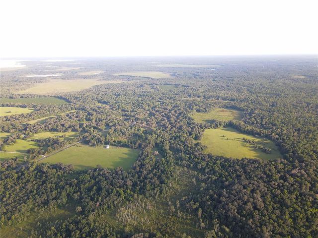 11816 SE COUNTY ROAD 234, Micanopy, FL 32667