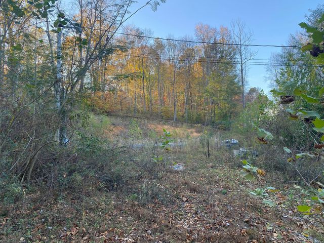 135 David Brown Road, Jasper, TN 37347