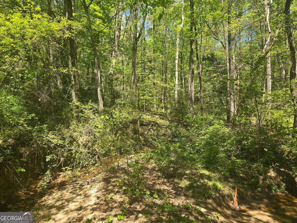 0 Hilltop Lane, Toccoa, GA 30577 — photo 3