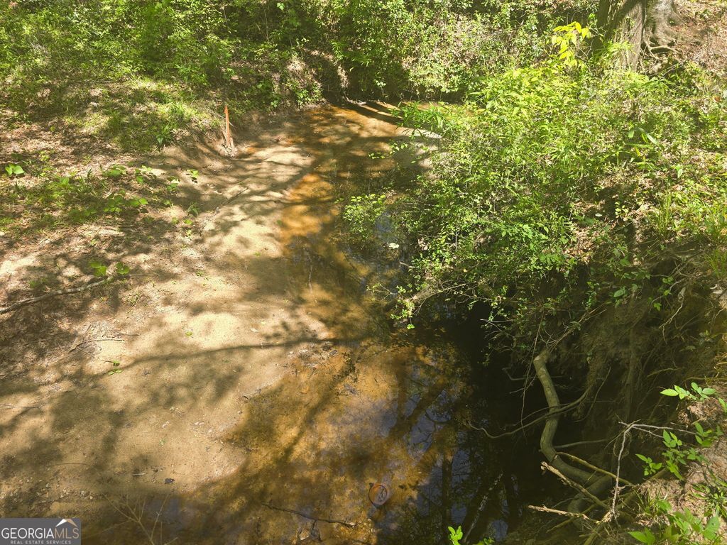 0 Hilltop Lane, Toccoa, GA 30577 — photo 4