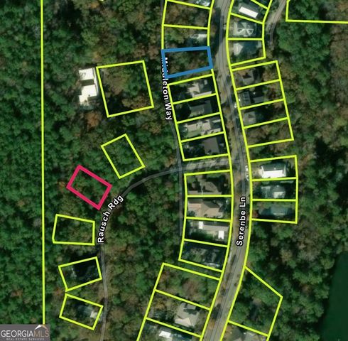 721 Rausch Ridge, Chattahoochee Hills, GA 30268
