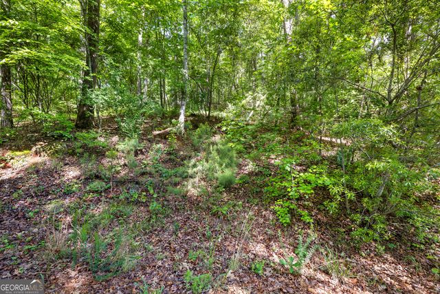 721 Rausch Ridge, Chattahoochee Hills, GA 30268