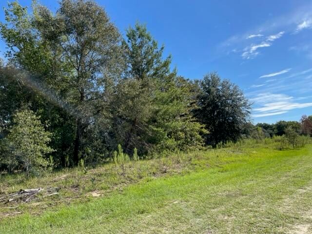 Tbd SW 104th Street, Dunnellon, FL 34432