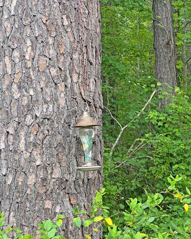 3680 Beacon Drive, Sumter, SC 29154