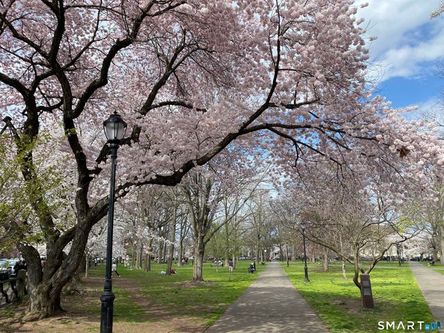 43 Chestnut Street 307, New Haven, CT 06511