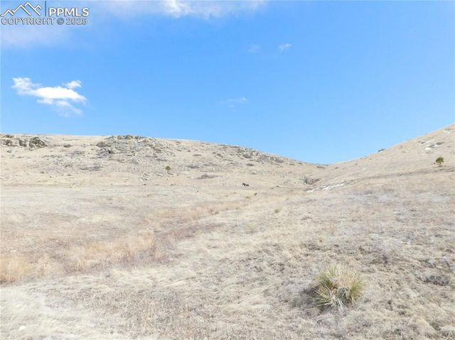 11972 Haskel Creek Road, Larkspur, CO 80118