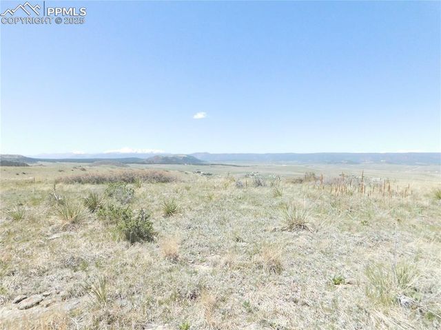 11972 Haskel Creek Road, Larkspur, CO 80118