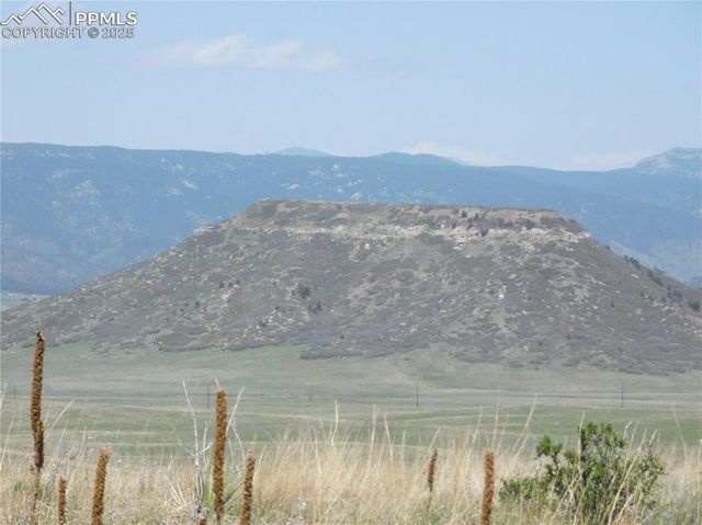 11972 Haskel Creek Road, Larkspur, CO 80118