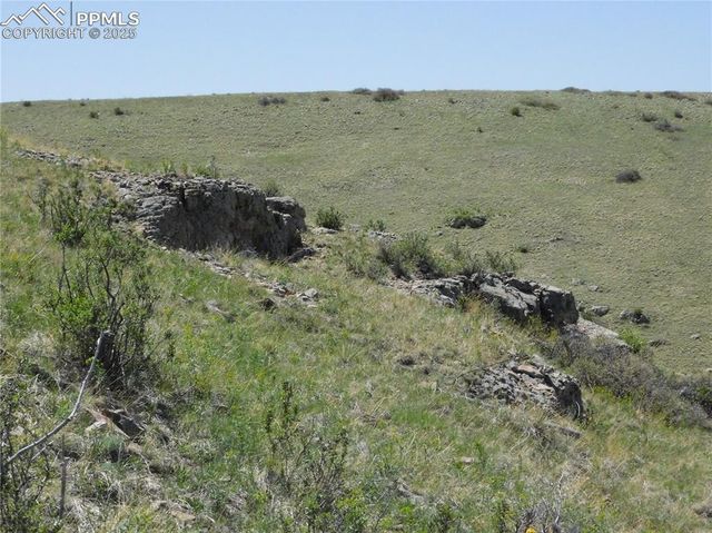 11972 Haskel Creek Road, Larkspur, CO 80118