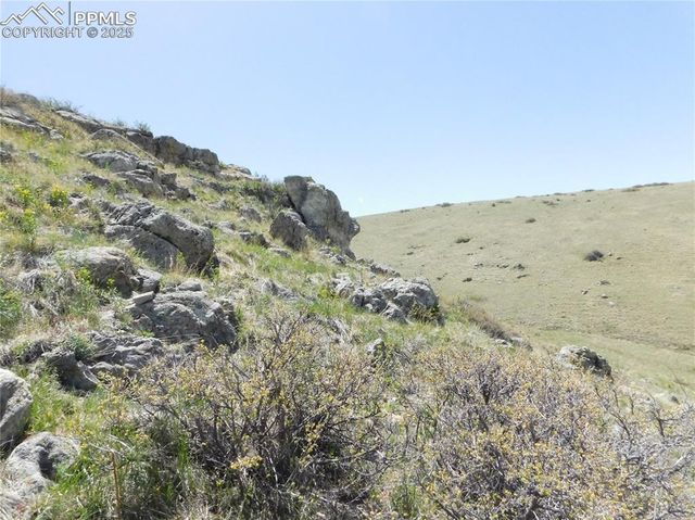 11972 Haskel Creek Road, Larkspur, CO 80118