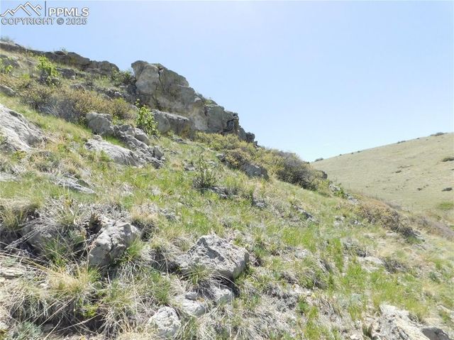 11972 Haskel Creek Road, Larkspur, CO 80118