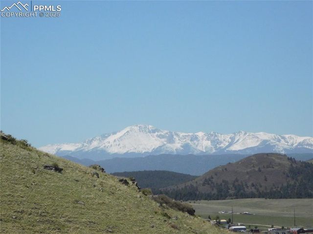 11972 Haskel Creek Road, Larkspur, CO 80118