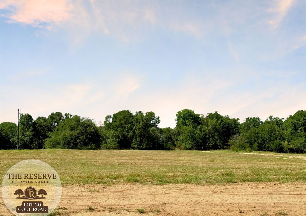Lot 20 Colt. Road, Springtown, TX 76082