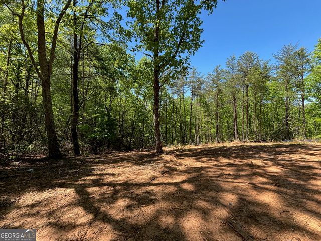 174 Forbes Drive, Cleveland, GA 30528