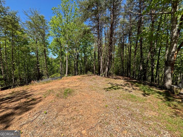 174 Forbes Drive, Cleveland, GA 30528