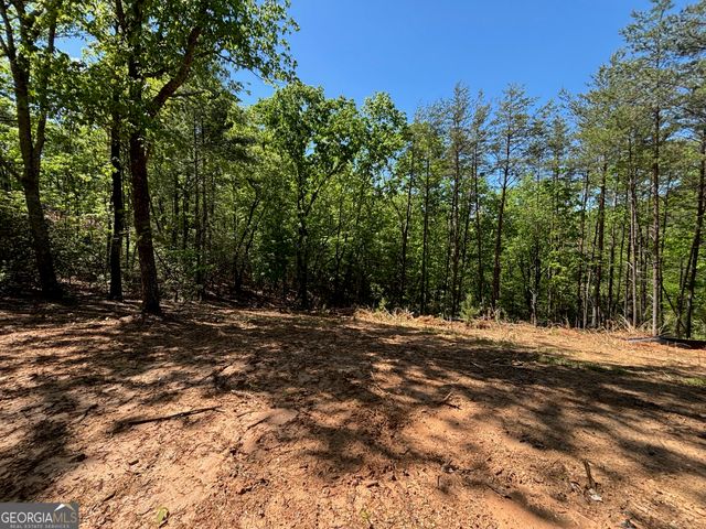 174 Forbes Drive, Cleveland, GA 30528