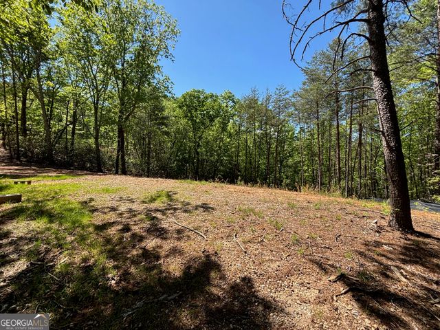 174 Forbes Drive, Cleveland, GA 30528