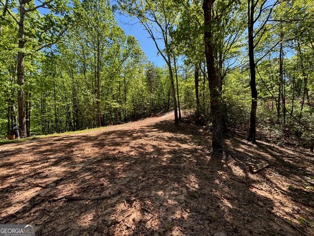 174 Forbes Drive, Cleveland, GA 30528