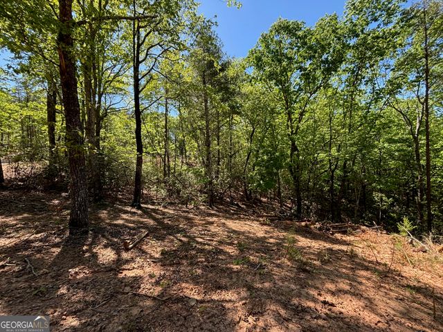 174 Forbes Drive, Cleveland, GA 30528