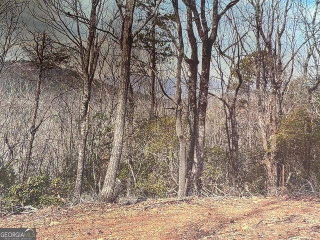 174 Forbes Drive, Cleveland, GA 30528