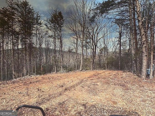 174 Forbes Drive, Cleveland, GA 30528