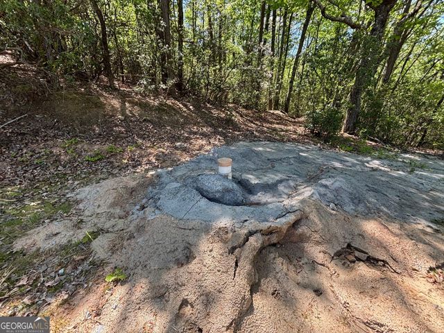 174 Forbes Drive, Cleveland, GA 30528