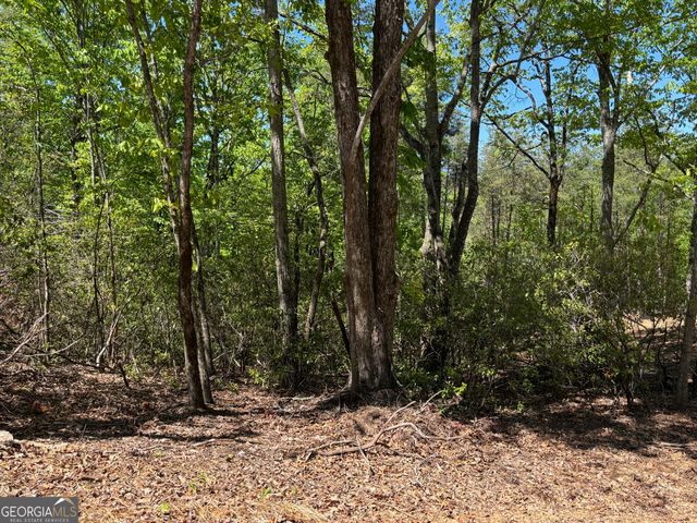 174 Forbes Drive, Cleveland, GA 30528