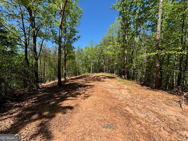 174 Forbes Drive, Cleveland, GA 30528